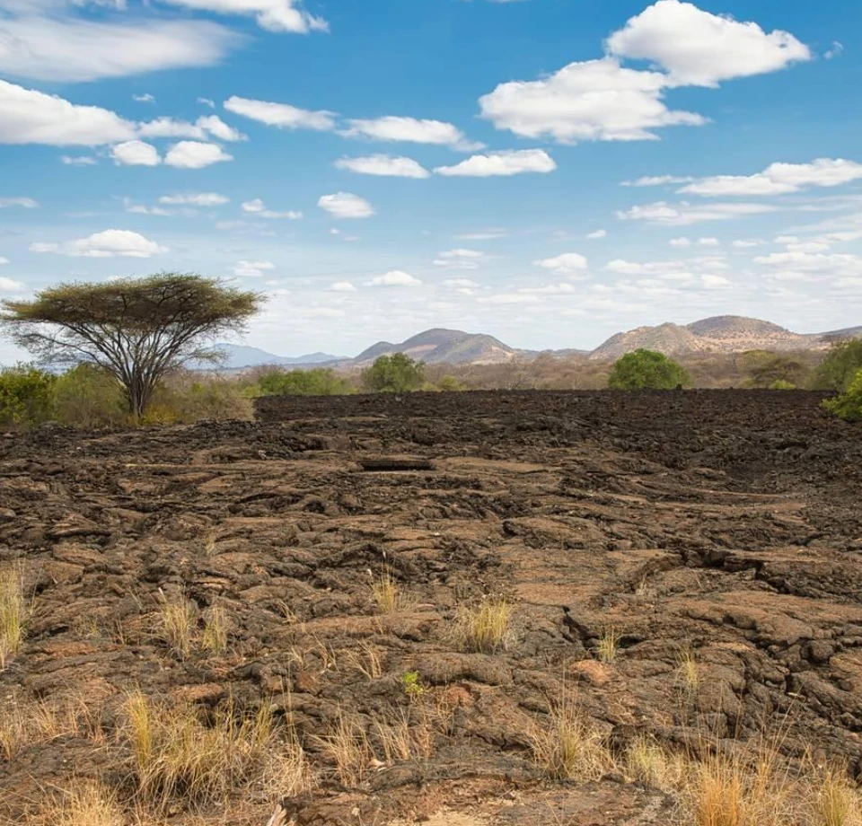 Springs Lava Landscapes