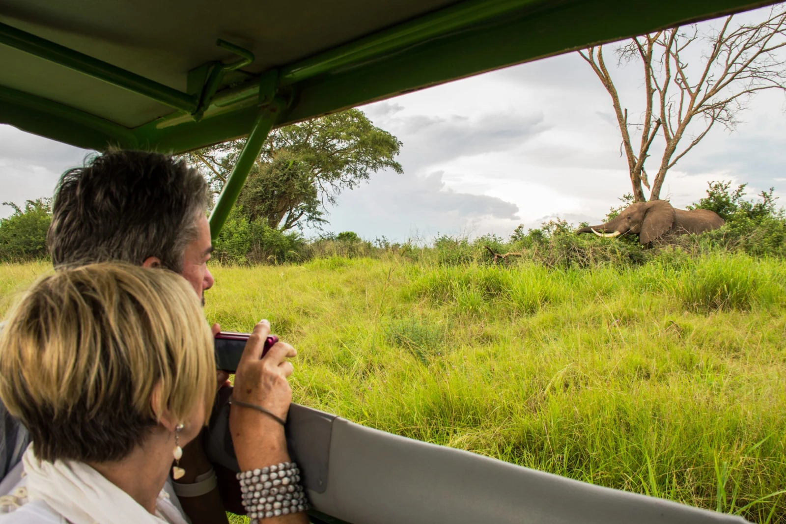 Savannah Game Drives