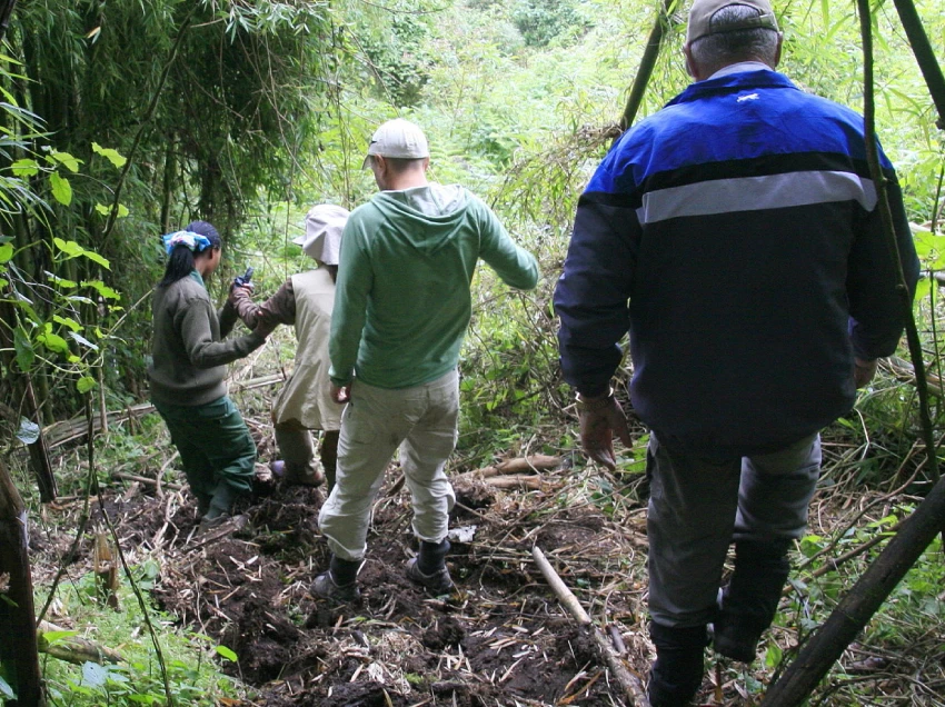 Volcanoes National Park Walk