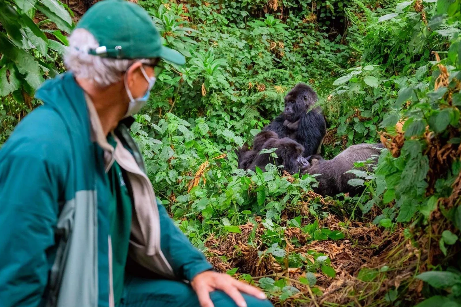 Gorilla Trekking Day