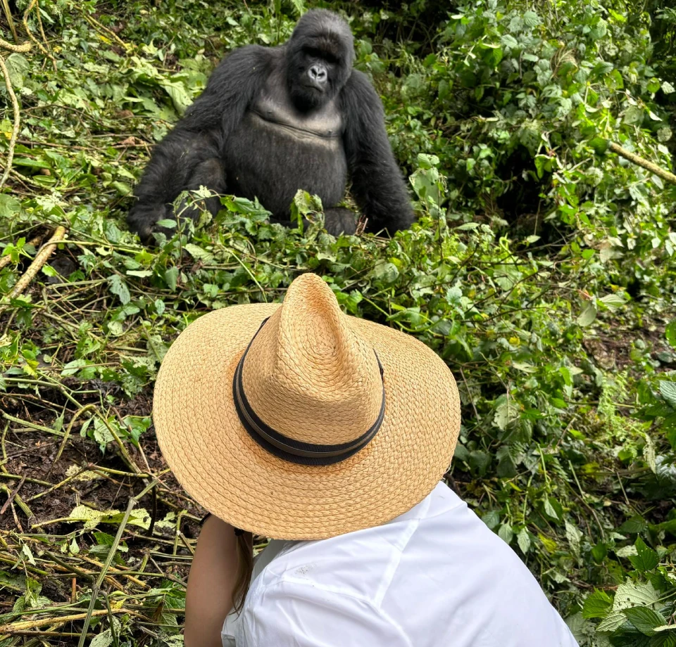 Gorilla Mountain Treks