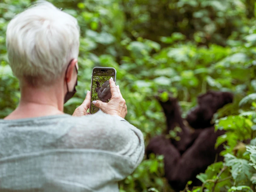 Volcanoes National Park Attractions