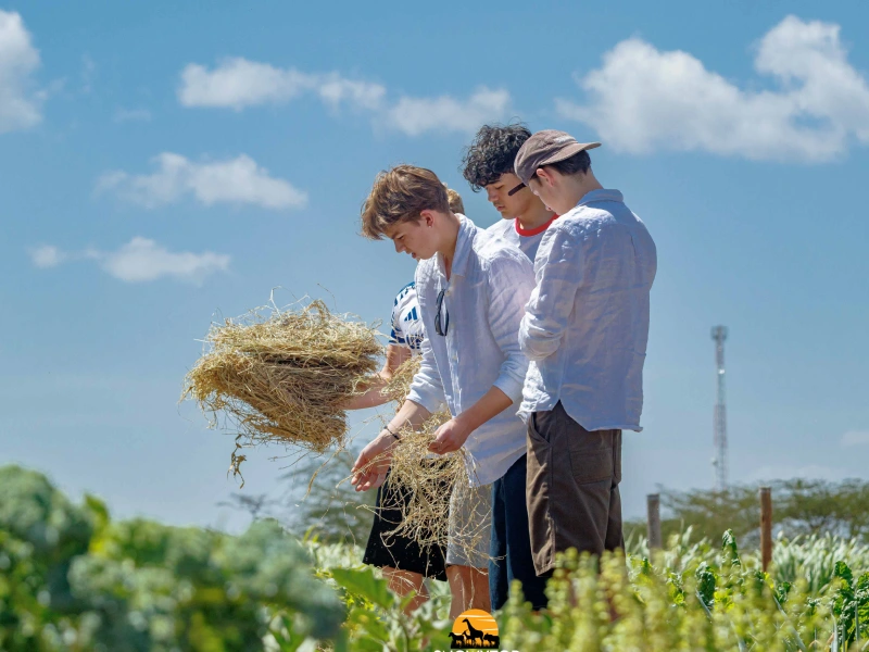 Wildlife Conservation