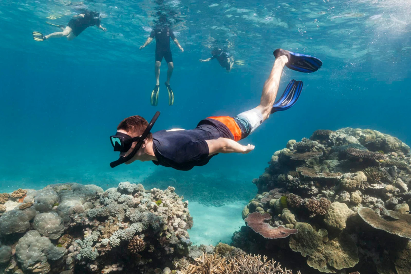 Reef Snorkel Trip