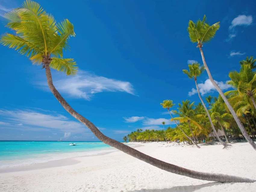 Zanzibar Attractions